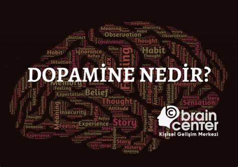 dopamin hormonu nasıl artar